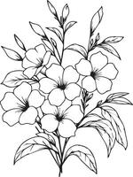 allamanda cathartique isolé, dessiné à la main floral élément. vecteur illustration bouquet de allamanda cathartique, esquisser art magnifique allamanda cathartique roseus fleur tatouage, coloration page pour adultes
