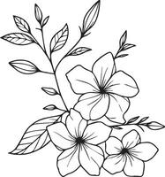 dessiné à la main botanique été éléments Naturel collection, allamanda cathartique ligne art pour coloration page, réaliste fleur coloration pages, allamanda cathartique fleur contour, allamanda cathartique vecteur