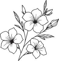 allamanda cathartique botanique illustration, allamanda cathartique vecteur art, allamanda cathartique ligne dessins, allamanda cathartique mur décor, allamanda cathartique isolé sur blanc Contexte