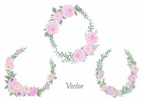 dessiné à la main rose dahlia fleurit - été fleur illustration vecteur