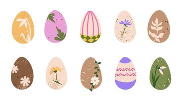 ensemble de Naturel teint Pâques des œufs avec botanique impressions. DIY fleur décoré des œufs. coloré main peint de Pâques symbole. vecteur isolé illustration