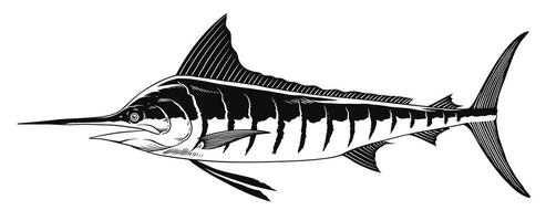 marlin poisson main tiré illustration dans noir et blanc vecteur