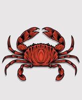 crabe de vecteur d'illustration sur fond blanc