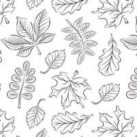 modèle avec printemps, l'automne feuilles dans ligne art style. génial pour arrière-plans, cartes, emballage papier, décor. vecteur illustration sur une blanc Contexte.