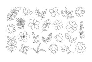 fleurs, feuilles et brindilles coloration page. floral éléments contour ensemble. coloration livre pour impression vecteur