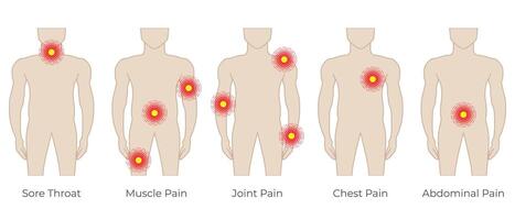 corps douleur Couleur illustration avec homme et endolori gorge, muscle, articulation, poitrine et abdominal douleur vecteur