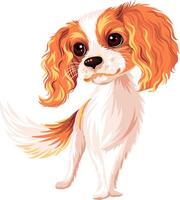 vecteur chien cavalier Roi Charles épagneul