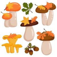 ensemble de champignons. élément de conception d'automne. style de dessin animé de vecteur