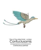 un de le le plus ancien des oiseaux sur Terre aviaire confuciusornis vecteur