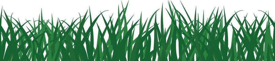 herbeux champ, dessin animé vert herbe dans sans couture frontière ou Bande une vecteur