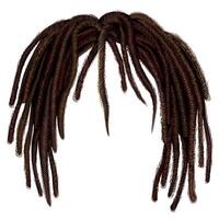 branché africain longue cheveux dreadlocks . mode beauté style .coiffure perruque vecteur