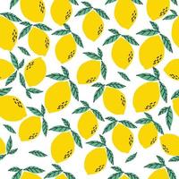 fruits au citron pour le modèle sans couture de tissu vecteur