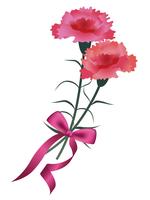 Bouquet d&#39;oeillets avec un ruban rose pour la fête des mères, anniversaire, mariage, etc. vecteur