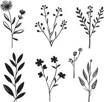 jardin sérénité élégant vecteur logo, noir botanique fleurs énigmatique bouquet noir emblème, botanique floral élégance
