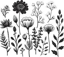 floral tapisserie monochromatique emblème de botanique éléments pétales dans noir lisse noir icône, vecteur floral conception
