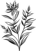 natures élégance lisse noir icône mettant en valeur botanique fleurs botanique harmonie monochromatique emblème avec noir élégance vecteur