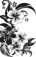 opulent orchidées élégant noir logo avec décoratif coins floral éclat monochrome vecteur emblème avec décoratif coins