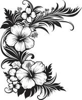 opulent orchidées lisse noir logo conception avec décoratif coins floral éclat élégant vecteur emblème mise en évidence décoratif coins