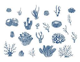 corail récif et algues sous-marin les plantes vecteur. aquarium, océan et sous-marin algues, l'eau la vie isolé sur blanc Contexte. corail griffonnage ensemble vecteur