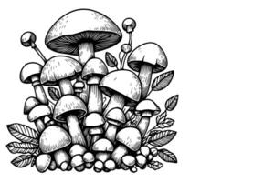 ai généré continu un noir ligne dessin champignon contour griffonnage vecteur illustration