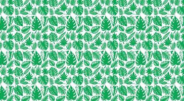 monstera floral feuilles sans couture modèle vert en tissu feuille arbre fond d'écran vecteur illustration sur blanc Contexte