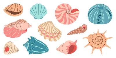 mer coquille dessin animé ensemble. océan exotique sous-marin coquillage conque aquatique mollusque, mer spirale escargot collection. tropical plage coquilles. moderne plat style isolé sur blanc Contexte. illustration vecteur