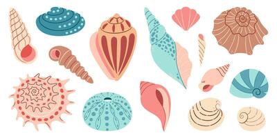 mer coquille dessin animé ensemble. océan exotique sous-marin coquillage conque aquatique mollusque, mer spirale escargot collection. tropical plage coquilles. moderne plat style isolé sur blanc Contexte. illustration vecteur