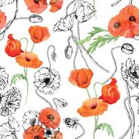 main tiré aquarelle botanique illustration fleurs feuilles. rouge coquelicot papaver, tiges bourgeons les gousses. sans couture modèle isolé blanc Contexte. conception mariage, l'amour cartes, souvenir journée papeterie vecteur