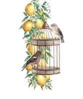 branche avec Jaune citrons, fleurs et feuilles, pendaison bronze cage et des oiseaux. isolé aquarelle illustration dans ancien style. Fait main composition pour décorer cartes, mariage conception, invitations vecteur