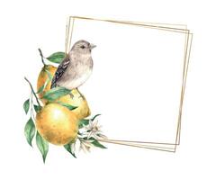 Jaune citron avec vert feuilles et fleurs, marron réaliste oiseau. isolé aquarelle Cadre dans ancien style avec or. main tiré pour cartes, mariage conception, faire-part, emballage. vecteur