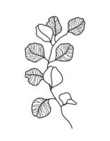 botanique affiche avec eucalyptus branche avec feuilles isolé sur blanc Contexte pour mur décoration, intérieur, fond d'écran, bannière. ancien style feuillage mur art modèle. vecteur