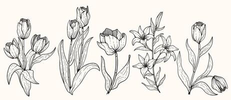 tulipe fleurs dans minimalisme ligne art, une ensemble de main tiré tulipe fleurs adapté pour mariage faire-part, fonds d'écran et beauté entreprises. vecteur