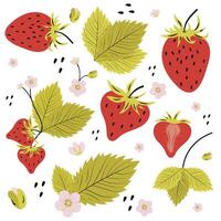 fraise ensemble, feuilles et fleurs dans une plat style sur une blanc Contexte. une main tiré Facile illustration dépi agir une fraise dans le style de une plat . vecteur