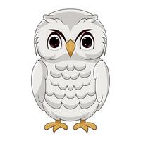 mignonne blanc polaire hibou dessin animé vecteur