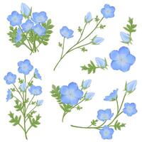 mignonne aquarelle nemophila fleurs - bébé bleu yeux - Télécharger fleurs vecteur