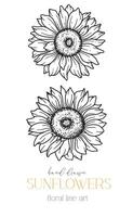 tournesols ligne art, bien ligne tournesols main tiré illustration. bien ligne tournesols illustration. floral ligne art. noir et blanc tournesols graphique vecteur