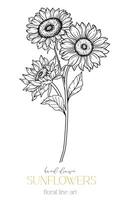 tournesols ligne art, bien ligne tournesols main tiré illustration. bien ligne tournesols illustration. floral ligne art. noir et blanc tournesols graphique vecteur