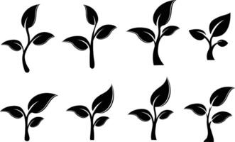 ensemble de logo choux dans noir, une brindille avec Trois feuilles. biologique Créatif symbole concept, Naturel biocosmétique, la nature vecteur