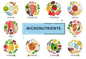 le nourriture infographie à propos micronutriments, vitamines, conception modèle vecteur