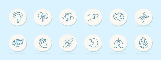 organes ensemble icône. intestinal tract, estomac, foie, cerveau, poumons, embryon, adn, dent, œil, cœur, paupières, cils. engrener, bleu couleurs. soi se soucier concept. ligne icône. vecteur