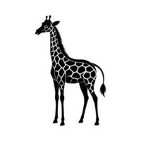 une girafe avec une noir et blanc dessin sur blanc Contexte vecteur