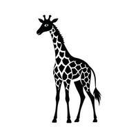 une girafe avec une noir et blanc dessin sur blanc Contexte vecteur