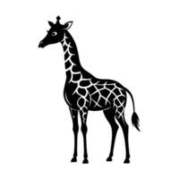 une girafe avec une noir et blanc dessin sur blanc Contexte vecteur