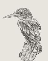 illustration vintage style de gravure d'oiseau vecteur