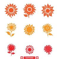 floral harmonie charmant tournesol silhouettes collection vecteur