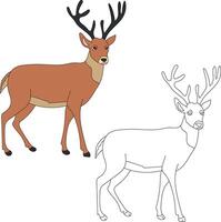 cerf clipart ensemble. dessin animé sauvage animaux clipart ensemble pour les amoureux de faune vecteur