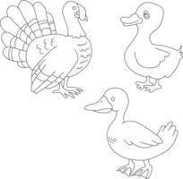 mignonne peu des oiseaux clipart ensemble plat conception. oiseau plat illustration vecteur