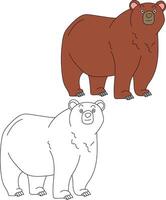 ours clipart ensemble. dessin animé sauvage animaux clipart ensemble pour les amoureux de faune vecteur