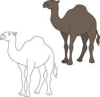 chameau clipart ensemble. dessin animé sauvage animaux clipart ensemble pour les amoureux de faune vecteur