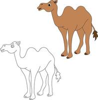 chameau clipart ensemble. dessin animé sauvage animaux clipart ensemble pour les amoureux de faune vecteur